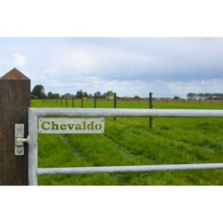 Gegalvaniseerde poort - ijzeren weidepoort - 3,25 meter - incl. hang- en sluitwerk