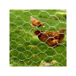 Avigal® groen kleine dieren gaas | 13 mm | 1.0 mm | geplastificeerd