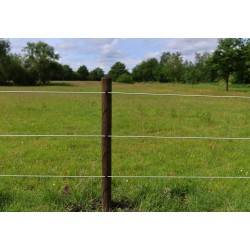 Permanentkabel / EquiFence (wit, 250 meter)