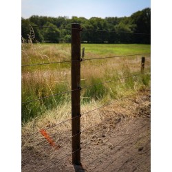 Houten palen | Weidepalen | grenen | PRE-SHIELD® | rond gefreesd | 10x250 cm | va €17,70 p/s -