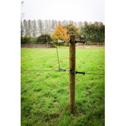 Houten palen | Weidepalen | grenen | Tanalith-e | rond gefreesd | 12x220 cm | va €17,91 p/s -