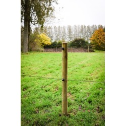 Houten palen | Weidepalen | grenen | Tanalith-e | rond gefreesd | 10x200 cm | va €11 p/s -