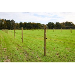 Houten palen | Weidepalen | grenen | Tanalith-e | rond gefreesd | 10x180 cm | va €9,91 p/s -