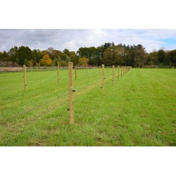 Houten palen | Weidepalen | grenen | Tanalith-e | rond gefreesd | 10x200 cm | va €11 p/s -