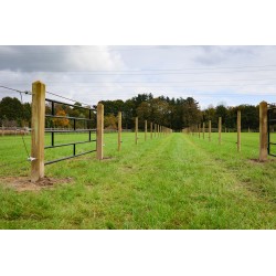 Losse weidepaal Tanalith-e Ø 10x220 cm