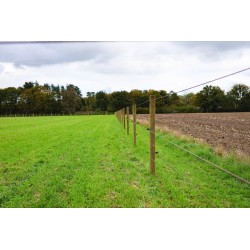 Losse weidepaal Tanalith-e Ø 10x220 cm