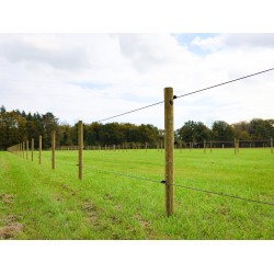 Losse weidepaal Tanalith-e Ø 10x220 cm