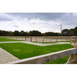 Doorsteek omheining Square Diamond - 11x11x225 cm - 2 gaten - Tanalith-E