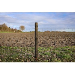 Ovis Crapo® | schapengaas | medium | verzinkt | 80 t/m 120 cm