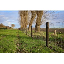 Houten palen | Weidepalen | grenen | PRE-SHIELD® | rond gefreesd | 10x225 cm | va €15,74 p/s -
