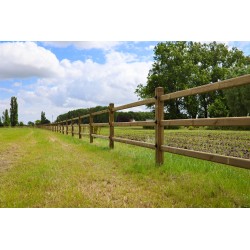 Houten liggers | regels | grenen | Tanalith-e | geschaafd | 45x95mm x 3 meter | va € 12,37 p/s -