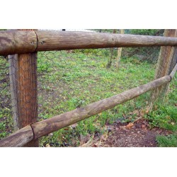 Avigal® groen kleine dieren gaas | 13 mm | 1.0 mm | geplastificeerd