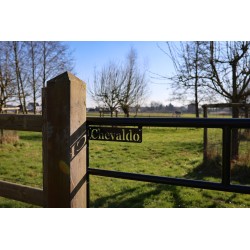 Complete zwart gepoedercoate poort 2,25 m -  Tanalith-E - inclusief poortpalen + hang- en sluitwerk - weidepoort