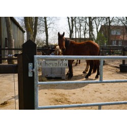 Gegalvaniseerde poort - ijzeren weidepoort - 2,25 meter - incl. hang- en sluitwerk