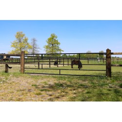 Complete zwart gepoedercoate poort 3,25 m - PRE-SHIELD® - inclusief poortpalen + hang- en sluitwerk - weidepoort