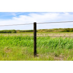Houten palen | Weidepalen | grenen | PRE-SHIELD® | rond gefreesd | 10x225 cm | va €15,74 p/s -