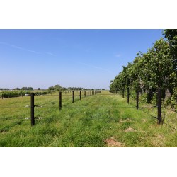 Houten palen | Weidepalen | grenen | PRE-SHIELD® | rond gefreesd | 12x200 cm | va €20,40 p/s -