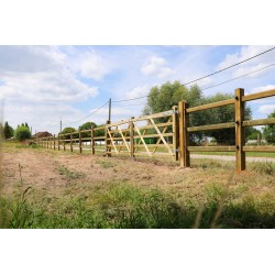 Complete dubbele Engelse poort 2 x 2,4 m (4,8 m) -Tanalith-E - inclusief poortpalen + hang- en sluitwerk - weidepoort