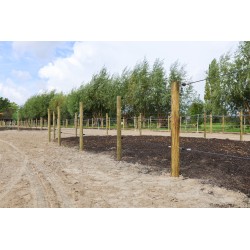 Houten palen | Weidepalen | grenen | Tanalith-e | rond gefreesd | 10x180 cm | va €9,91 p/s -