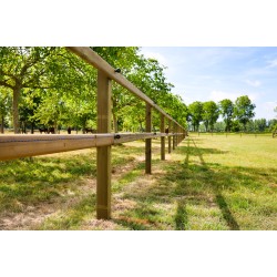 Houten palen | Weidepalen | grenen | Tanalith-e | vierkant | fijn bezaagd | 10x10x200 cm | va €19,14 p/s -