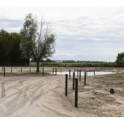 Houten palen | Weidepalen | grenen | PRE-SHIELD® | rond gefreesd | 10x250 cm | va €17,70 p/s -