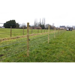 Houten palen | Weidepalen | grenen | Tanalith-e | rond gefreesd | 8x250 cm | va €10,16 p/s -