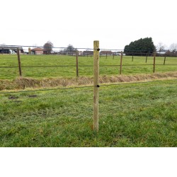 Houten palen | Weidepalen | grenen | Tanalith-e | rond gefreesd | 8x250 cm | va €10,16 p/s -