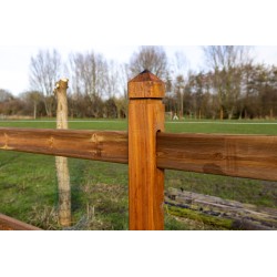 Doorsteek omheining Square Tropic/Pine - 2 liggers - 10x10x210cm