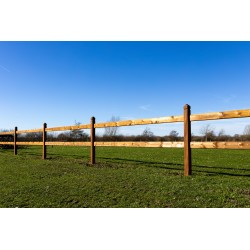 Doorsteek omheining Square Tropic/Pine - 2 liggers - 10x10x210cm
