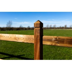 Doorsteek omheining Square Tropic/Pine - 3 liggers - 10x10x230cm