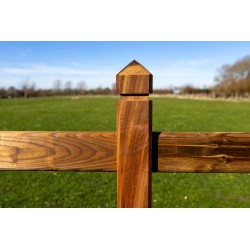 Houten liggers | regels | grenen | Tanatone | geschaafd | 45x95mm x 3 meter | va €13,26 p/s -