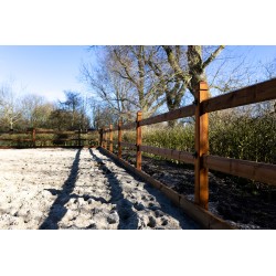 Ligger 35x120 mm x 6 meter - Tanatone
