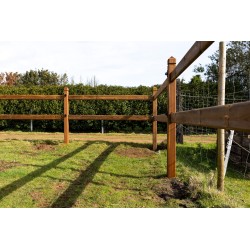 Doorsteek omheining Square Tropic/Pine - 2 liggers - 10x10x210cm