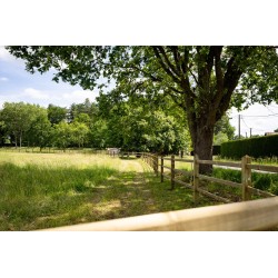 Doorsteek omheining Square Basic - 12,5x12,5x225 cm - 3 liggers - Tanalith-e