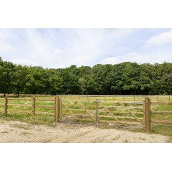 Complete dubbele Engelse poort 2 x 3 m (6 m) - Tanalith-E - inclusief poortpalen + hang- en sluitwerk - weidepoort