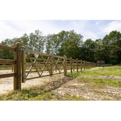 Complete dubbele Engelse poort 2 x 3 m (6 m) - Tanalith-E - inclusief poortpalen + hang- en sluitwerk - weidepoort