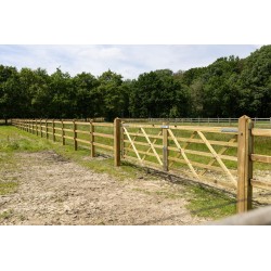 Complete dubbele Engelse poort 2 x 3 m (6 m) - Tanalith-E - inclusief poortpalen + hang- en sluitwerk - weidepoort