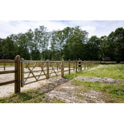 Complete dubbele Engelse poort 2 x 3 m (6 m) - Tanalith-E - inclusief poortpalen + hang- en sluitwerk - weidepoort