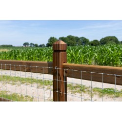 Doorsteek omheining Square Tropic/Pine - 2 liggers - 10x10x210cm