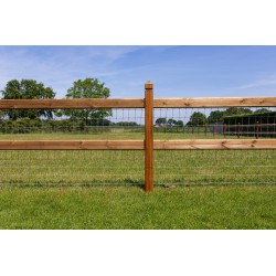 Doorsteek omheining Square Tropic/Pine - 2 liggers - 10x10x210cm