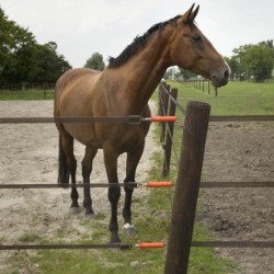 Bandklem 40mm (4 stuks)