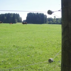 Porseleinen rol-hoekisolator (wit, 6 stuks)