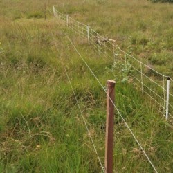 Bevestigingsdraadjes kort (1000 stuks)