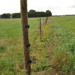 W-isolator (zwart, 175 stuks)