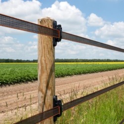 TurboLine paarden isolator (20 stuks)